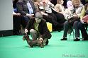 Crufts2011_2 1283